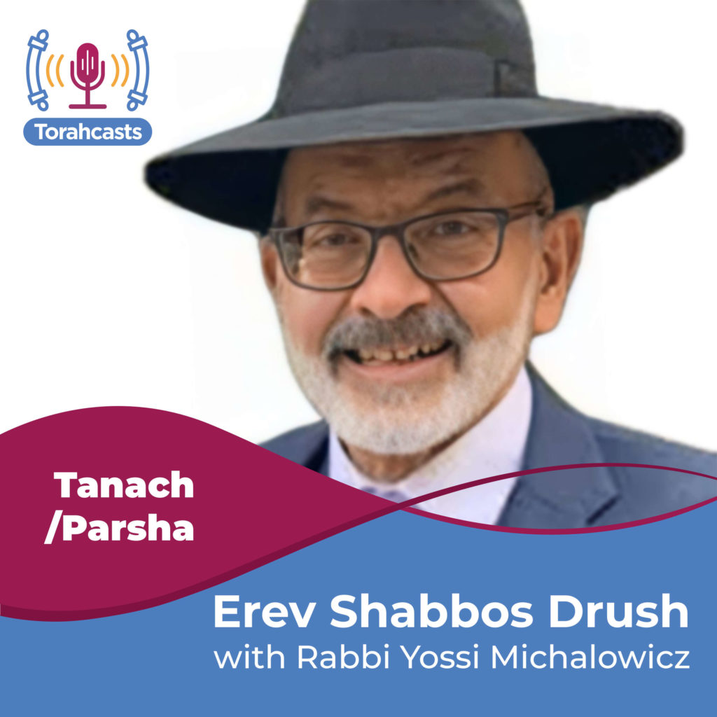Podcast image for Rabbi Michalowicz